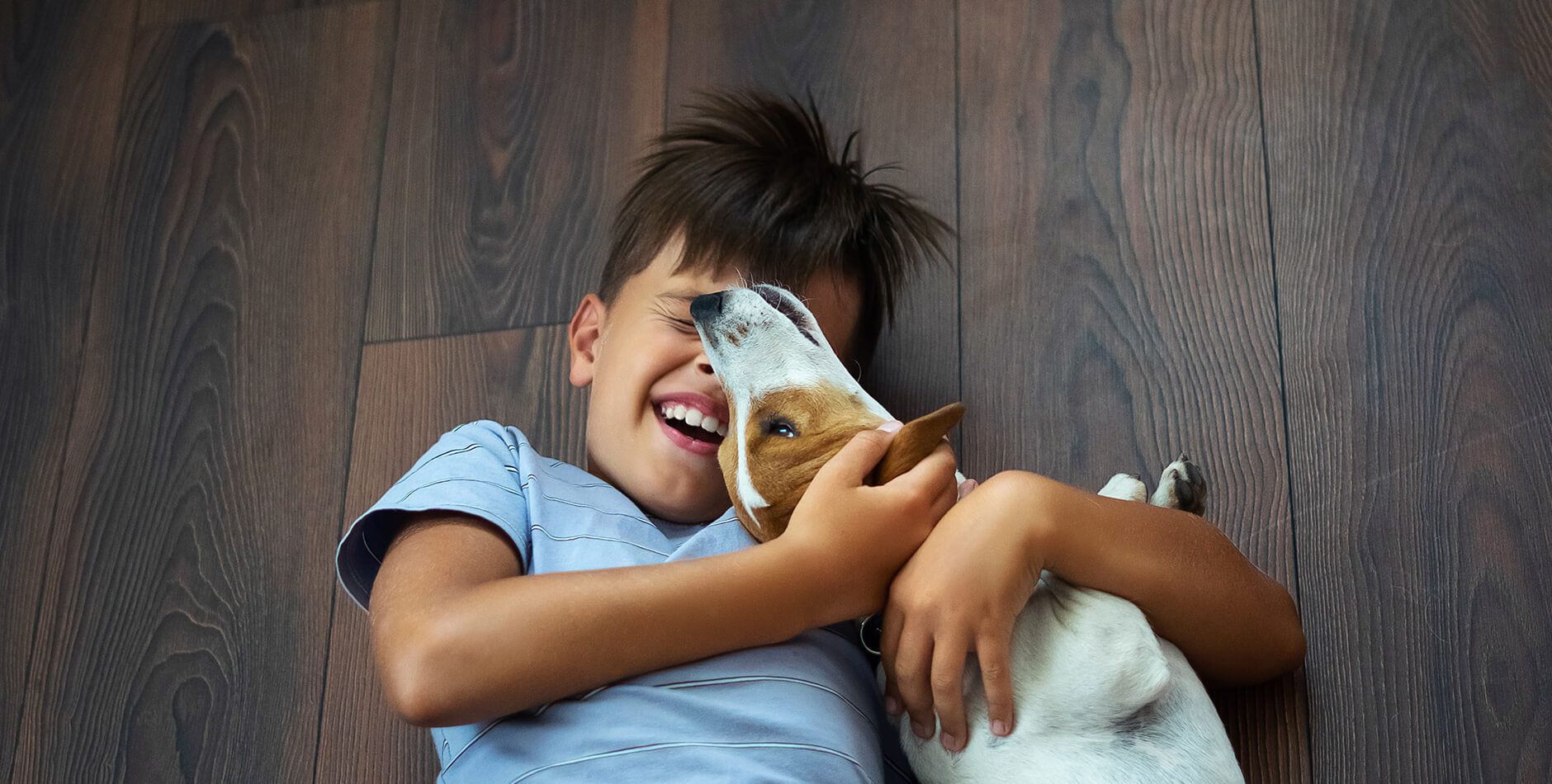 Is My Floor Cleaner Safe For My Baby And Pets