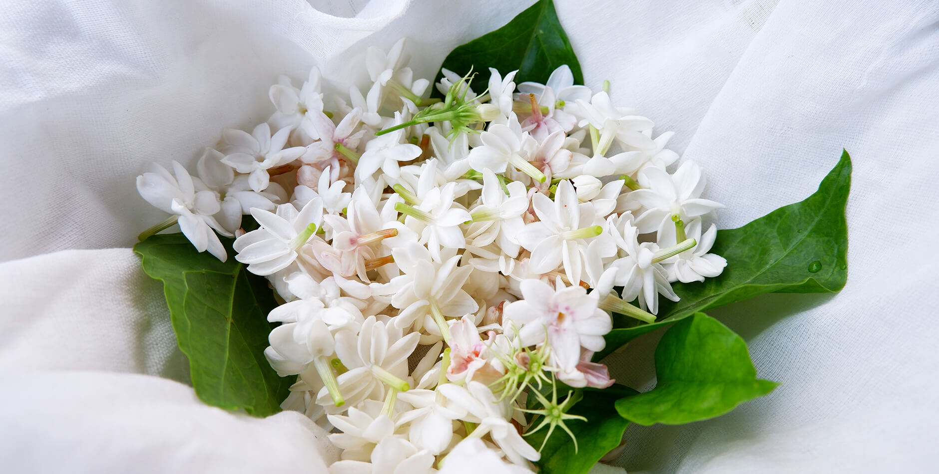 Winter wardrobe staple!