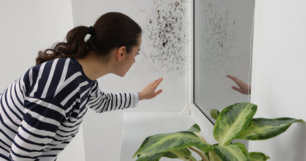 Monsoon-Proof Your Home: Cleaning & Odour Hacks