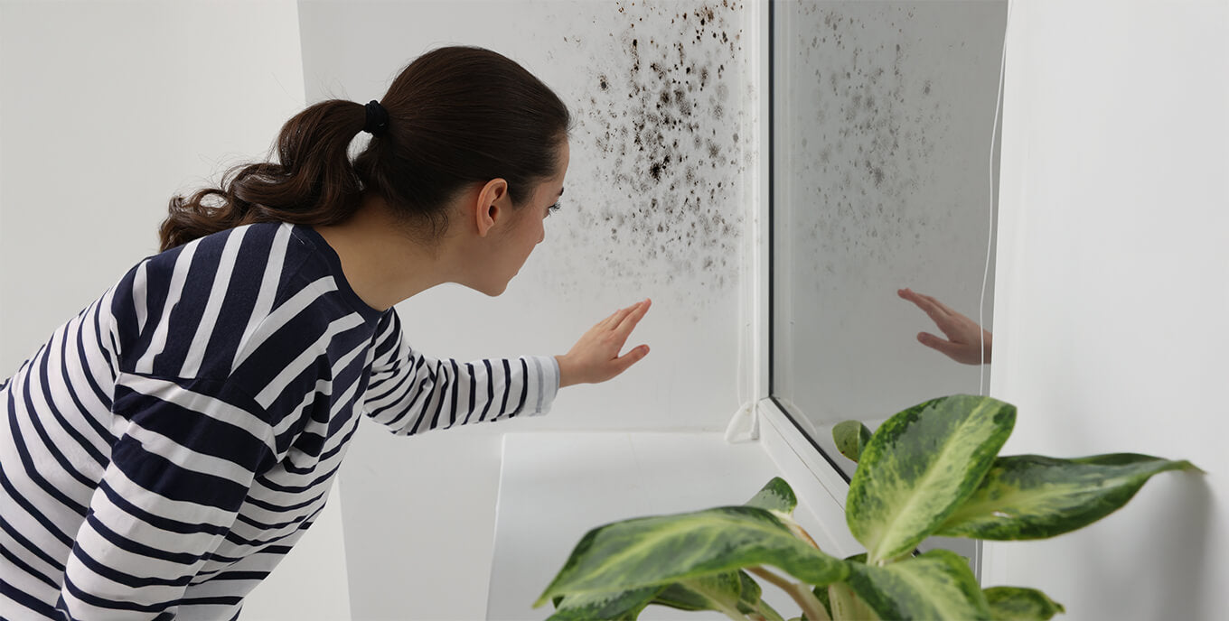Monsoon-Proof Your Home: Cleaning & Odour Hacks