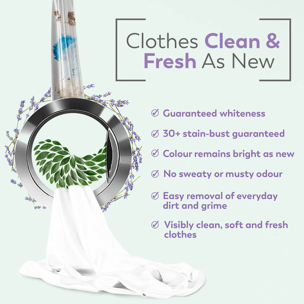 Liquid Detergent French Lavender + Fabric Conditioner Morning Bliss #size_500 ML Pack of 2